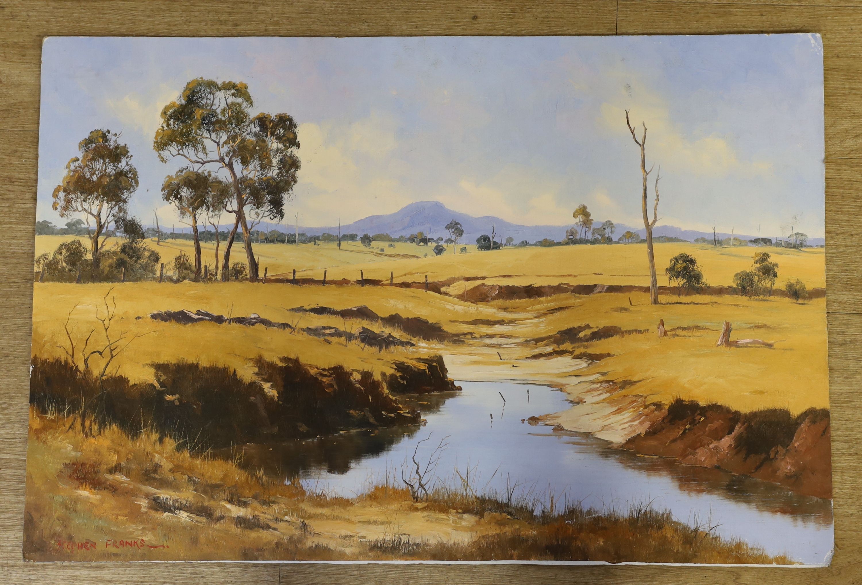 Stephen Franks (1942-2002), oil on board, South African landscape, signed, 61 x 91cm, unframed